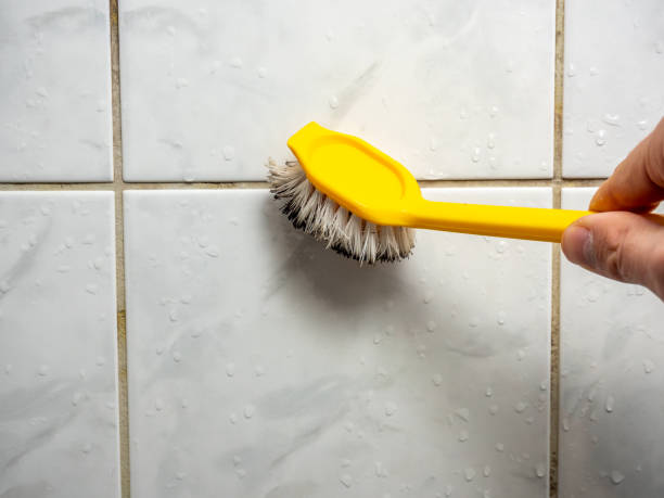 Best Professional Mold Removal  in Montpelier, IN