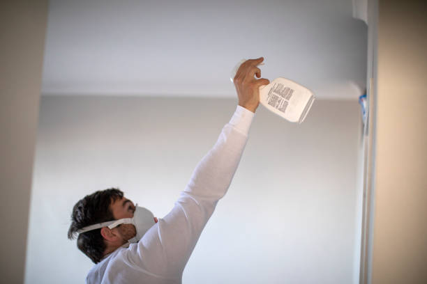 Best Certified Mold Removal  in Montpelier, IN