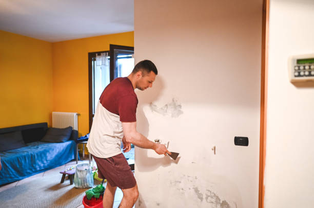 Best Affordable Mold Removal  in Montpelier, IN